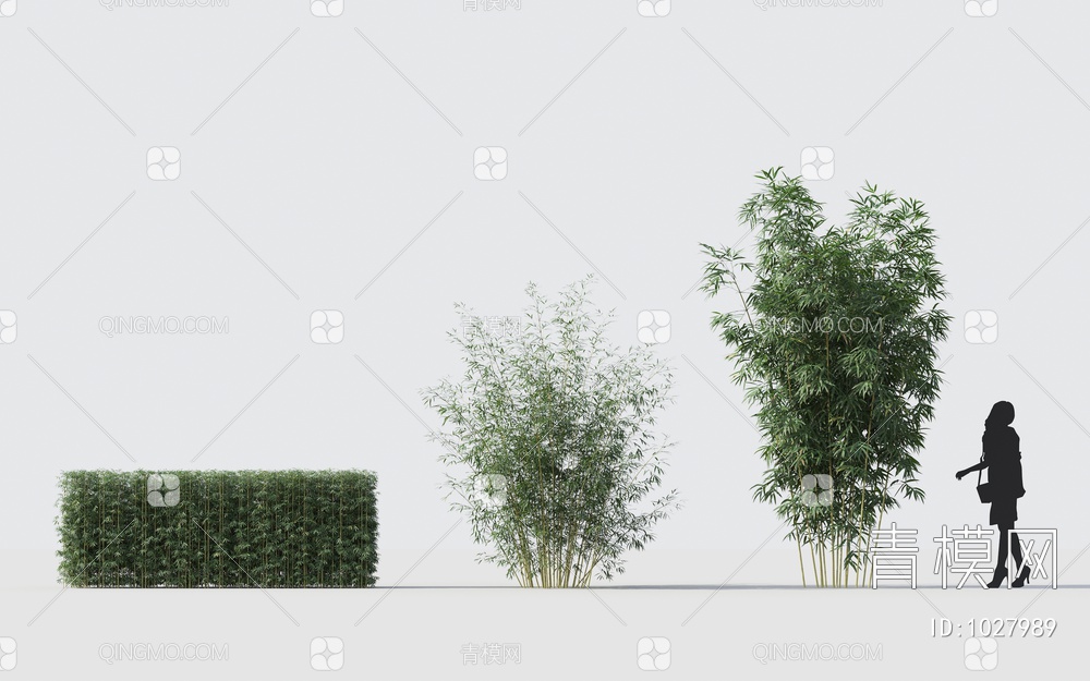 竹子植物3D模型下载【ID:1027989】