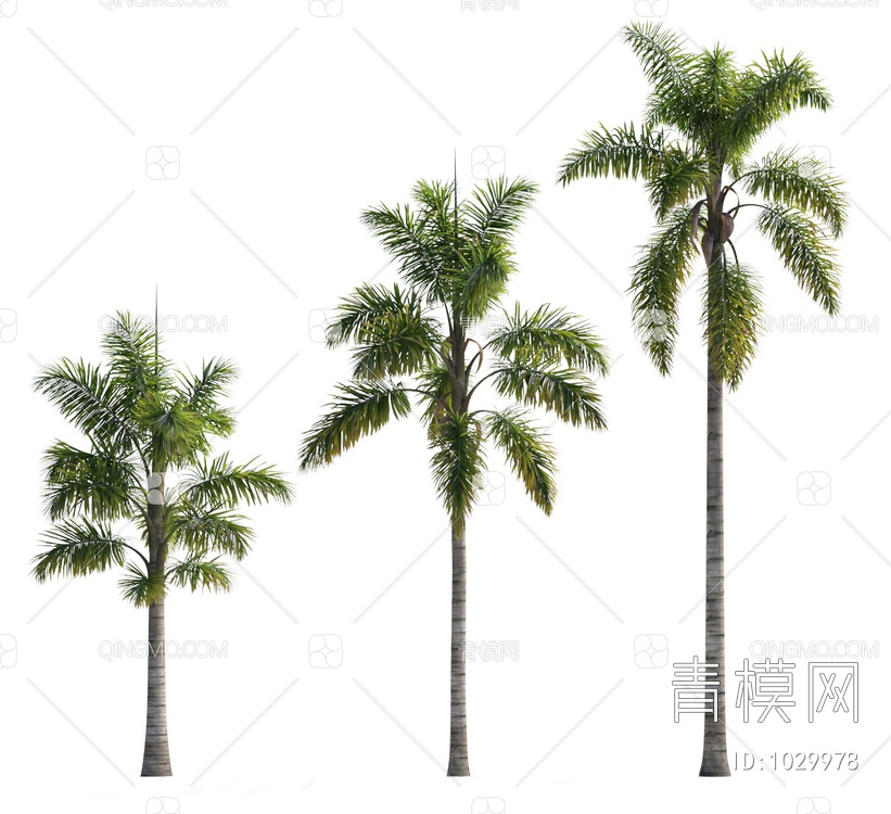 椰子树植物3D模型下载【ID:1029978】