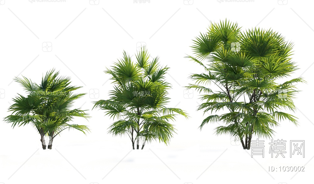 热带树木3D模型下载【ID:1030002】