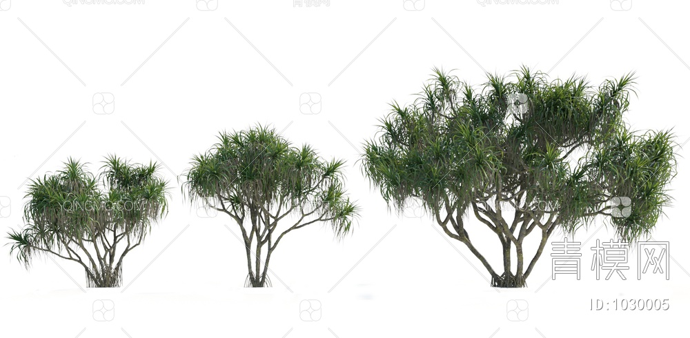 热带植物3D模型下载【ID:1030005】