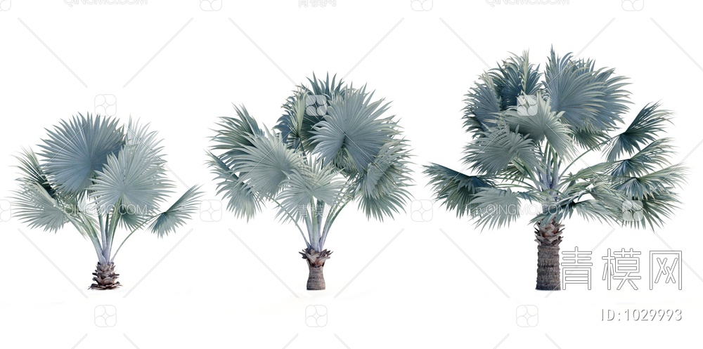 热带树木3D模型下载【ID:1029993】