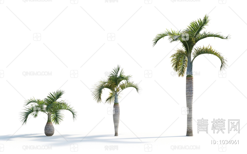 热带棕榈树 椰子树3D模型下载【ID:1034061】