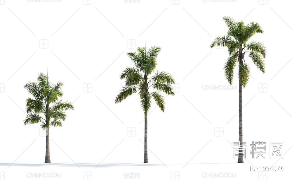 热带棕榈树3D模型下载【ID:1034076】