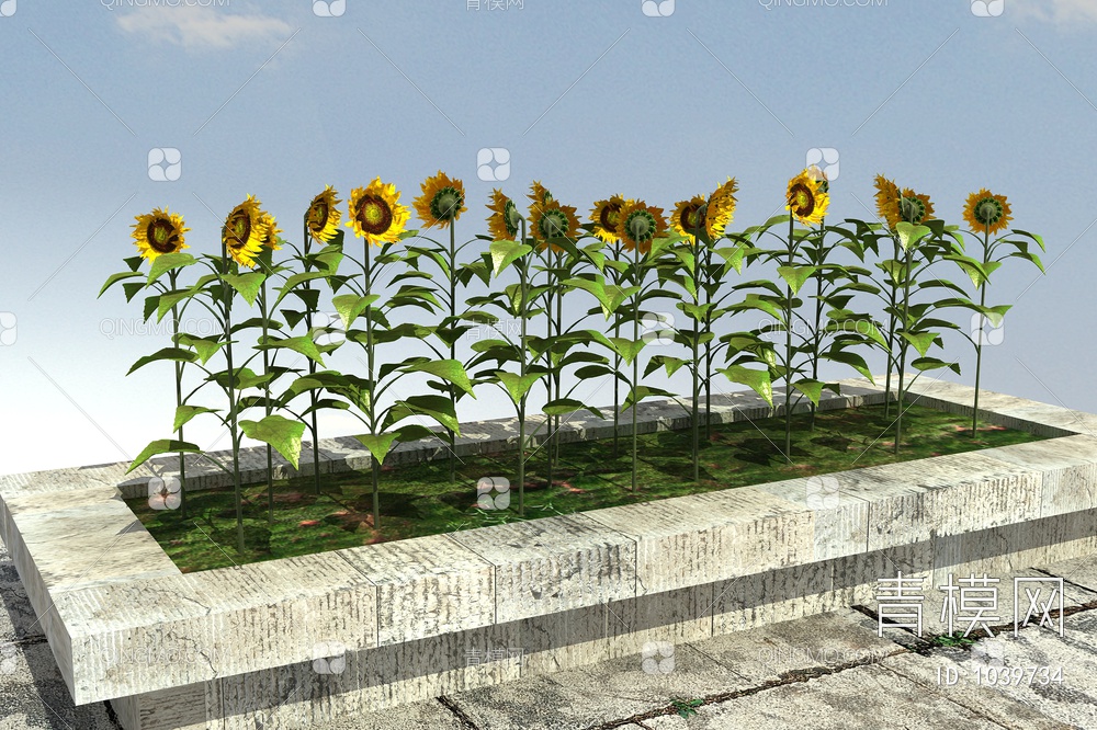 向日葵植物3D模型下载【ID:1039734】