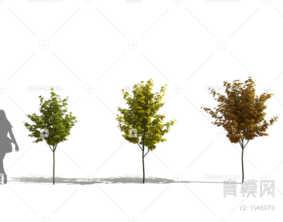 景观树3D模型下载【ID:1046973】