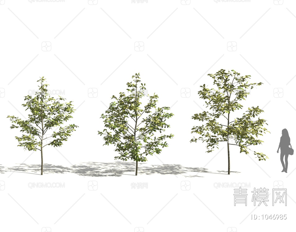 景观树3D模型下载【ID:1046985】