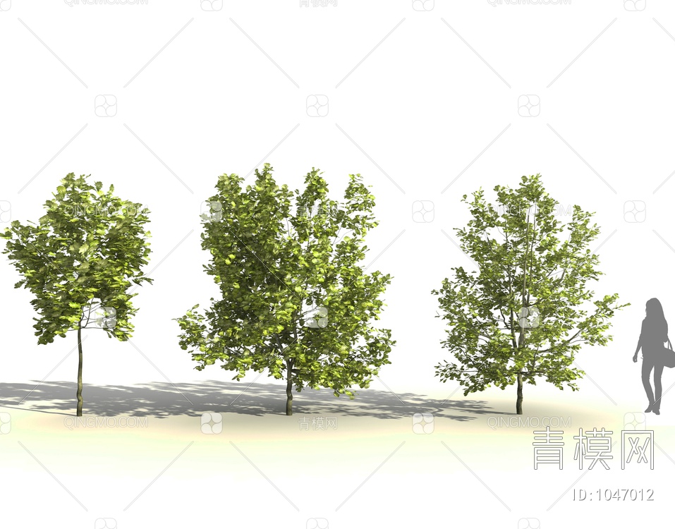 景观树3D模型下载【ID:1047012】