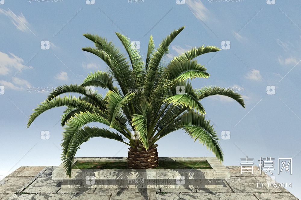 铁树、观赏植物3D模型下载【ID:1057014】