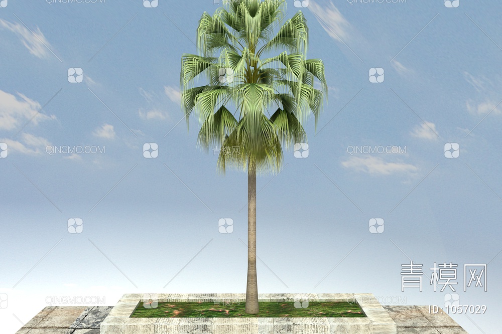 棕榈树3D模型下载【ID:1057029】