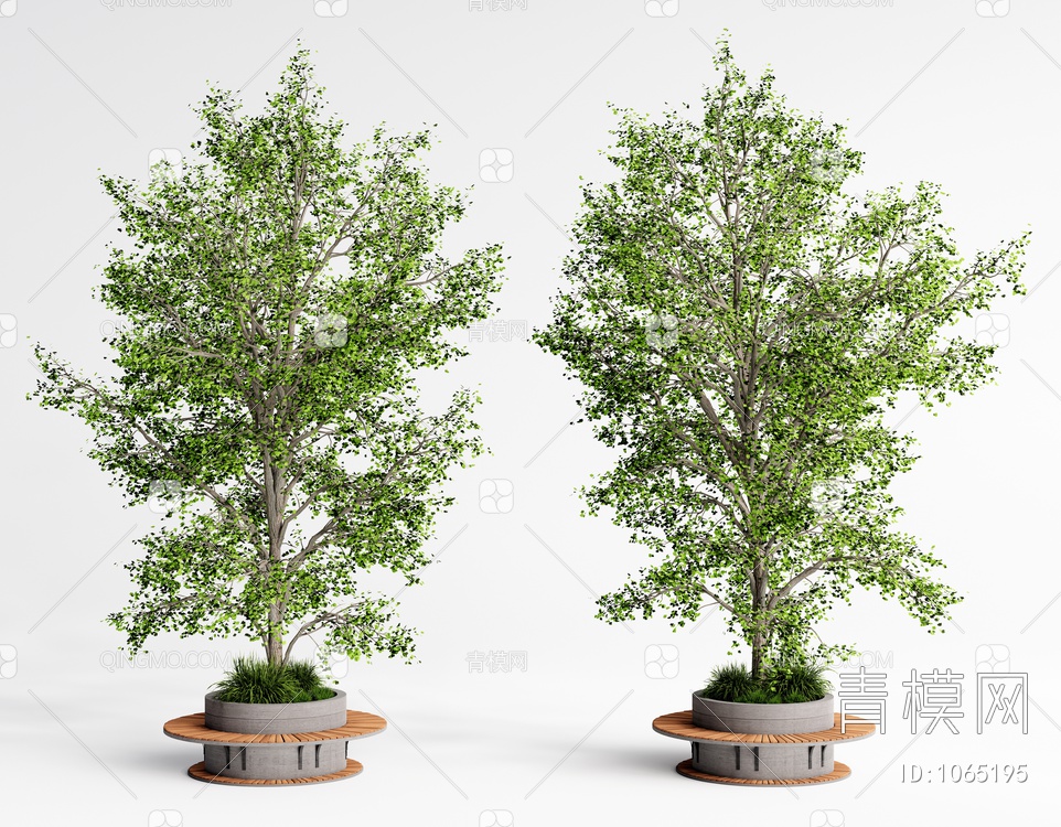 景观树 银杏树 树池3D模型下载【ID:1065195】