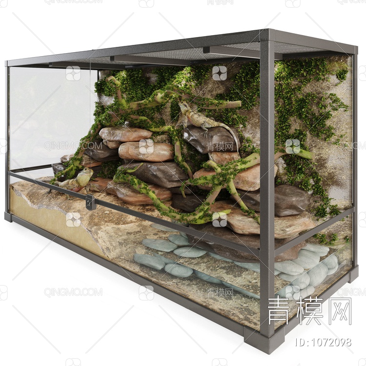 水陆缸 水族箱 蜥蜴3D模型下载【ID:1072098】