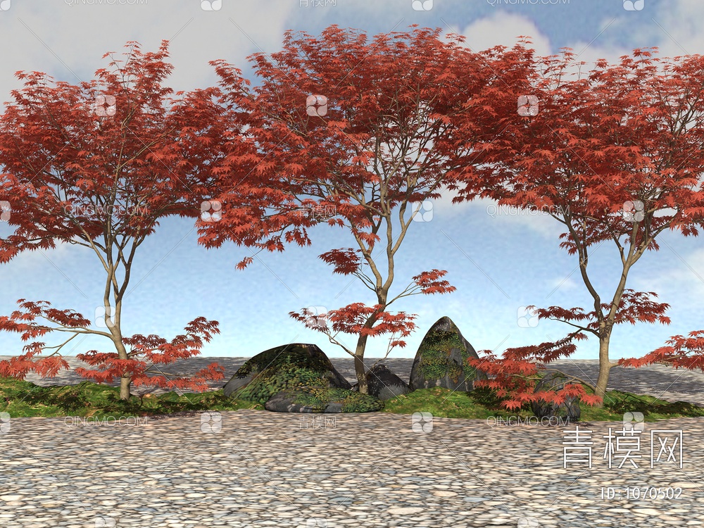 红枫 枫树3D模型下载【ID:1070502】