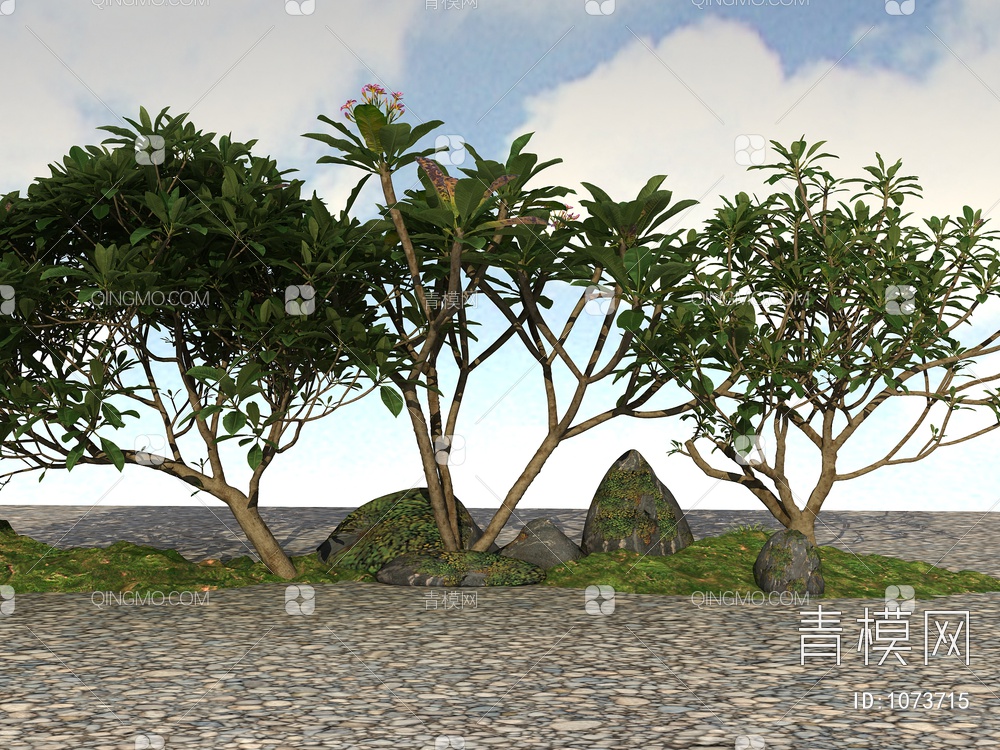 绿化植物、景观植物、开花植物、观赏植物3D模型下载【ID:1073715】
