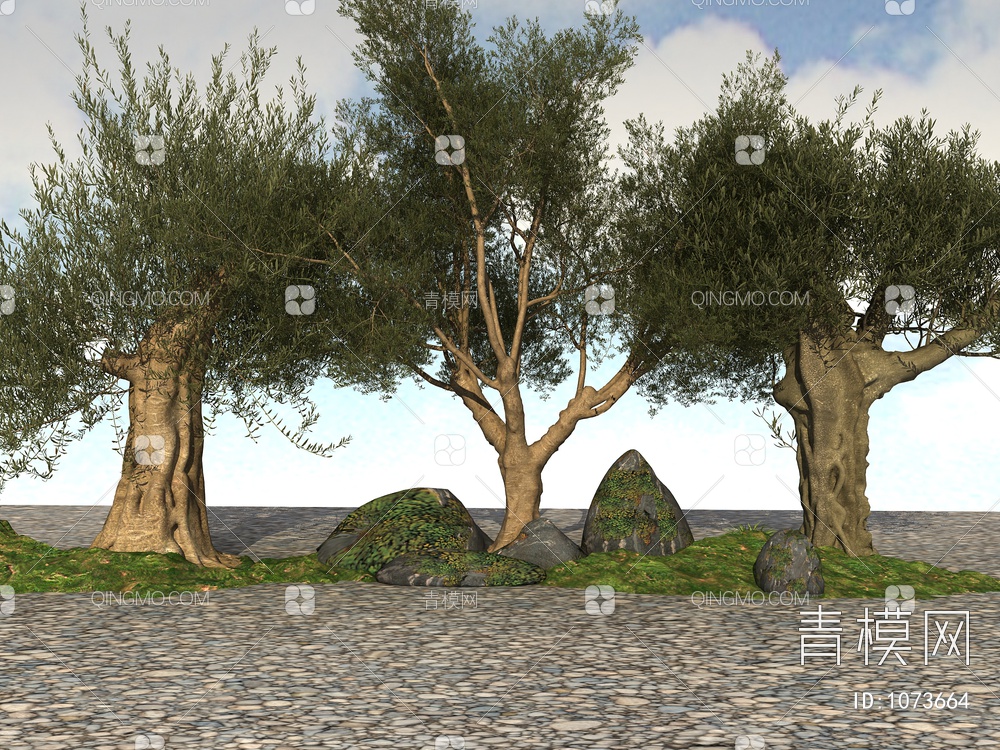 橄榄树3D模型下载【ID:1073664】
