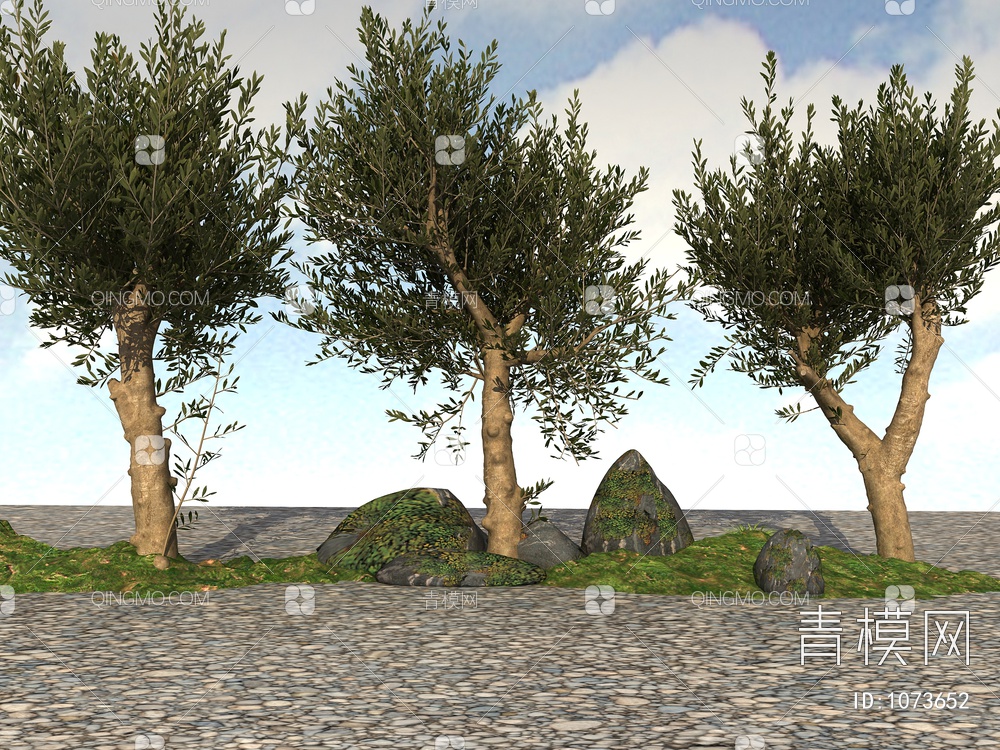 橄榄树3D模型下载【ID:1073652】