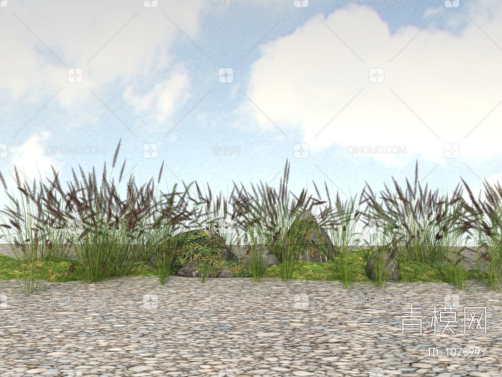 狼尾草 绿化植物、景观植物、开花植物3D模型下载【ID:1073997】