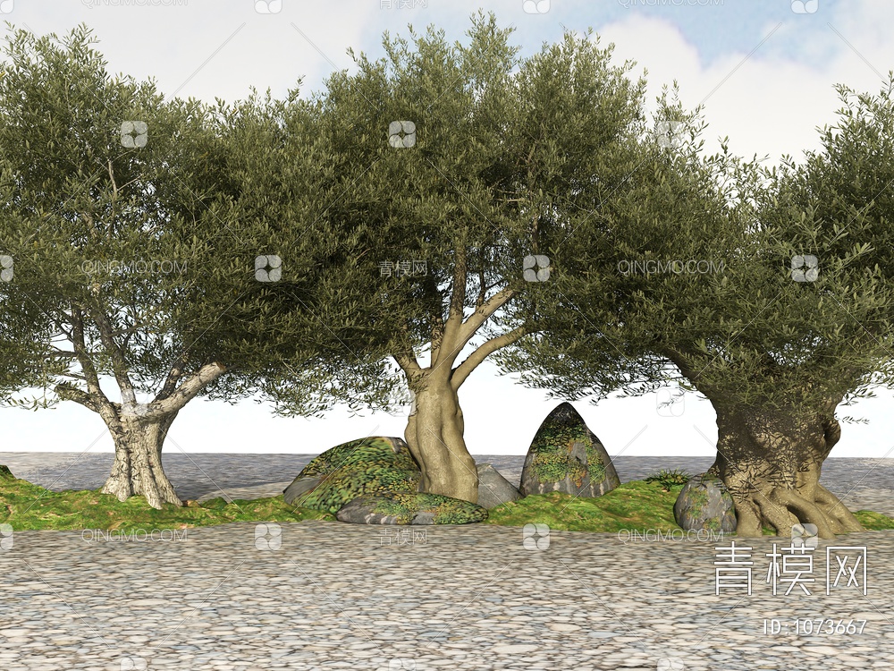 橄榄树3D模型下载【ID:1073667】