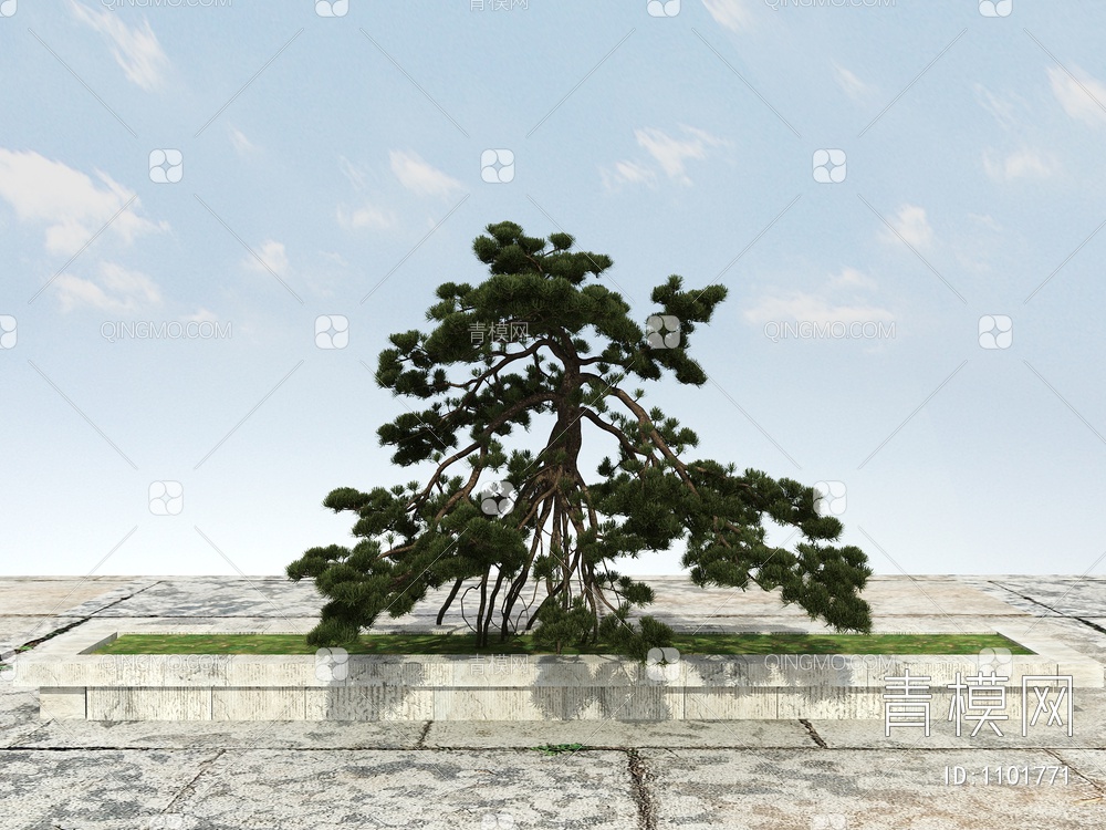 长白松 松树 景观松树3D模型下载【ID:1101771】
