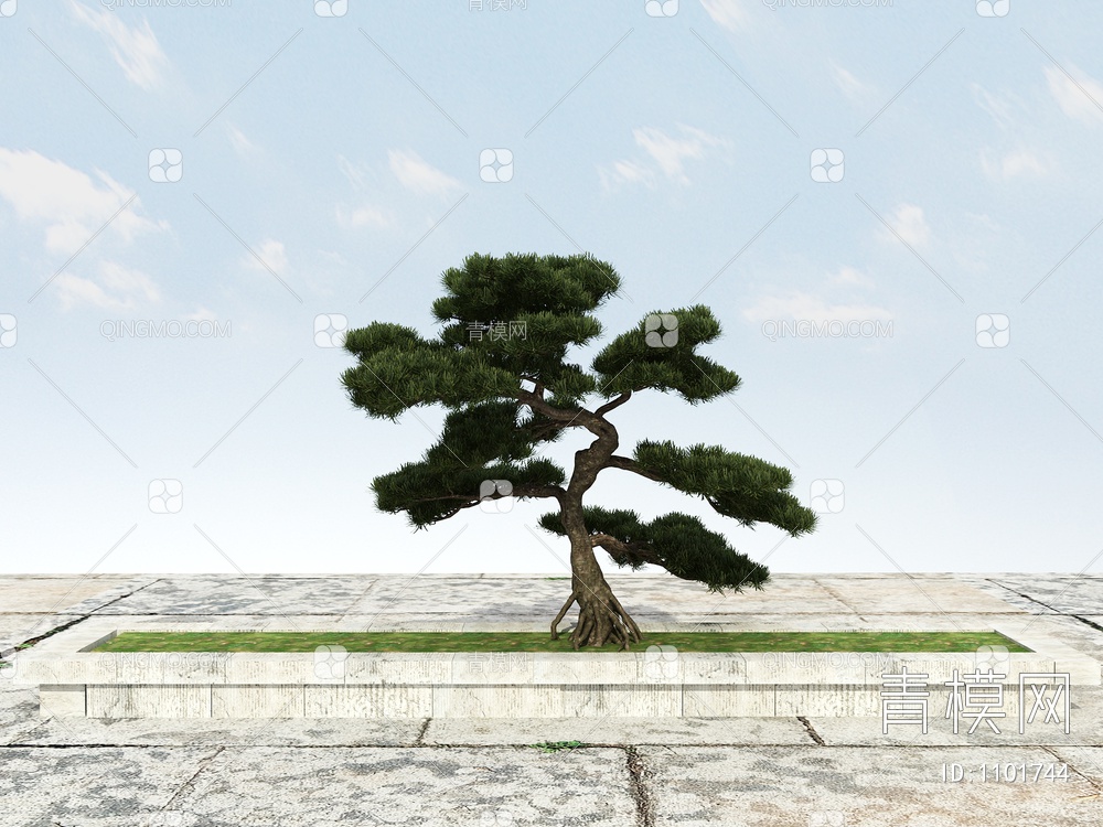 松树 造型松树 迎客松3D模型下载【ID:1101744】