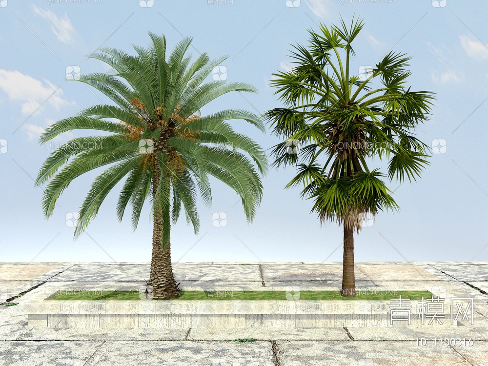 棕榈树3D模型下载【ID:1100316】