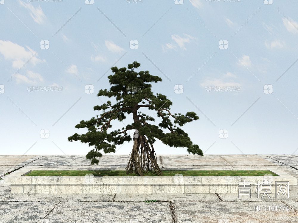 长白松 松树 景观松树3D模型下载【ID:1101774】