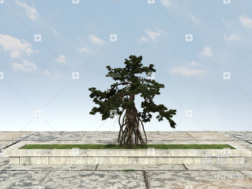 长白松 松树 景观松树3D模型下载【ID:1101777】