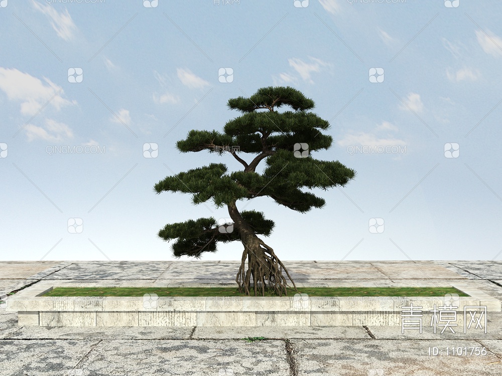 罗汉松 松树 景观松树3D模型下载【ID:1101756】