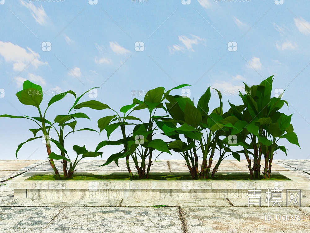 绿化植物、景观植物、开花植物、观赏植物3D模型下载【ID:1100376】