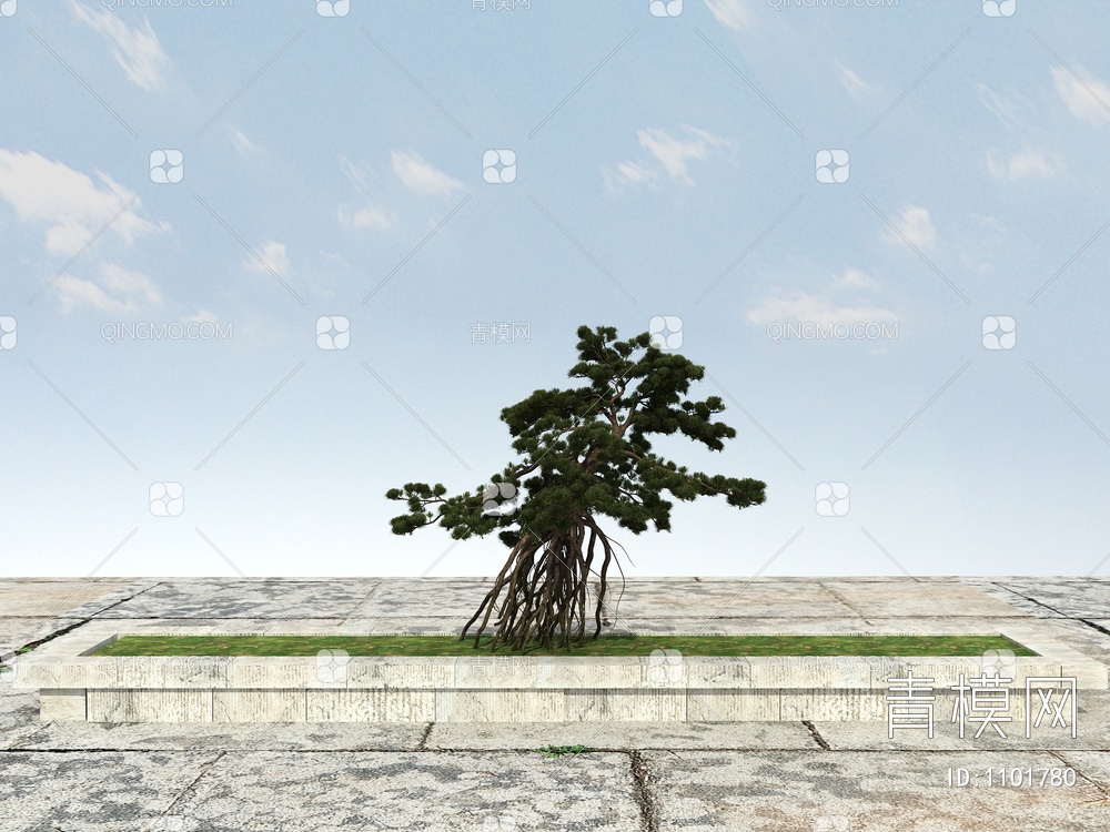 长白松 松树 景观松树3D模型下载【ID:1101780】