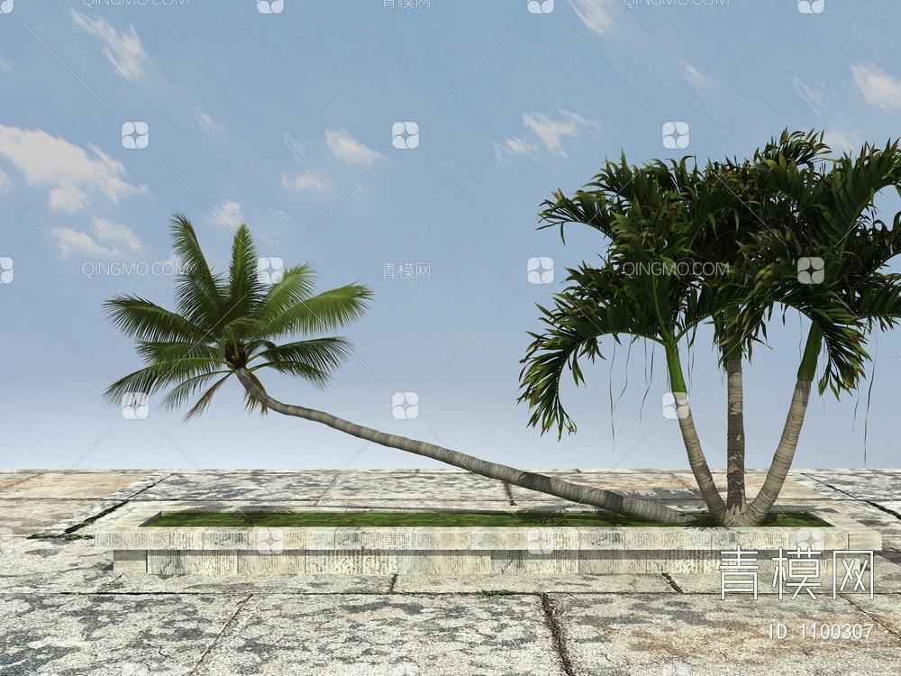 棕榈树3D模型下载【ID:1100307】