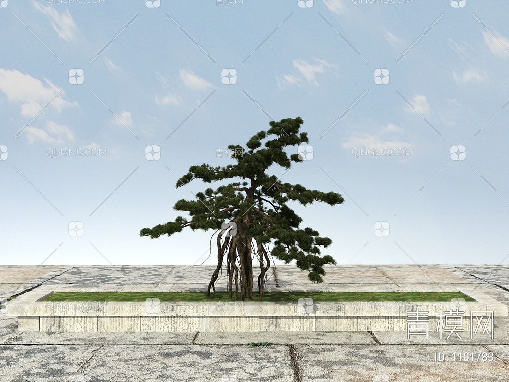 长白松 松树 景观松树3D模型下载【ID:1101783】