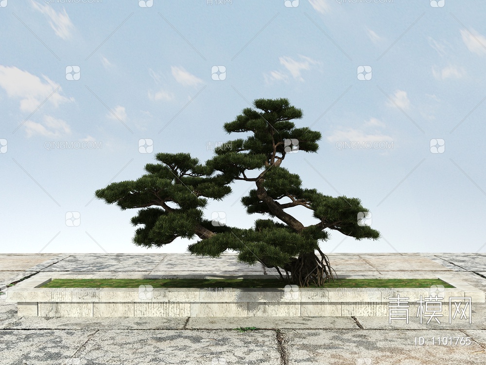 罗汉松 松树 景观松树3D模型下载【ID:1101765】