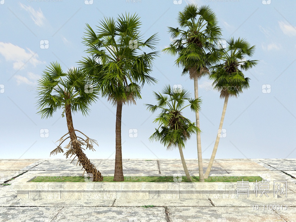 棕榈树3D模型下载【ID:1100313】