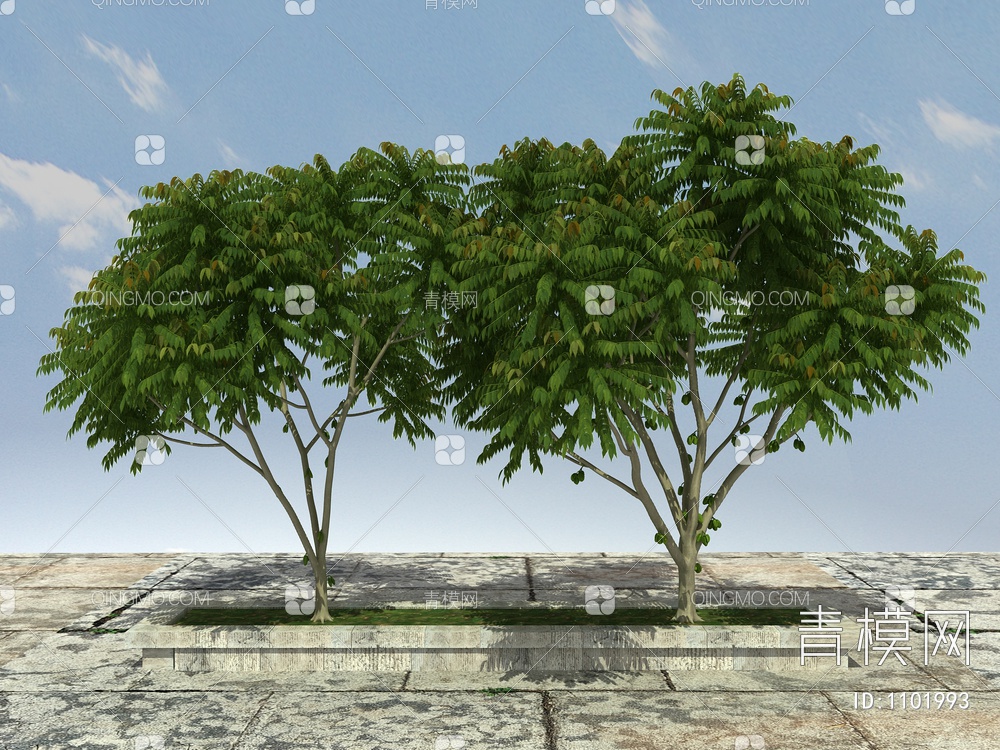 杨桃树 果树3D模型下载【ID:1101993】
