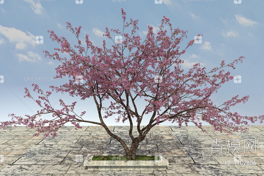 樱花树 开花树3D模型下载【ID:1102806】