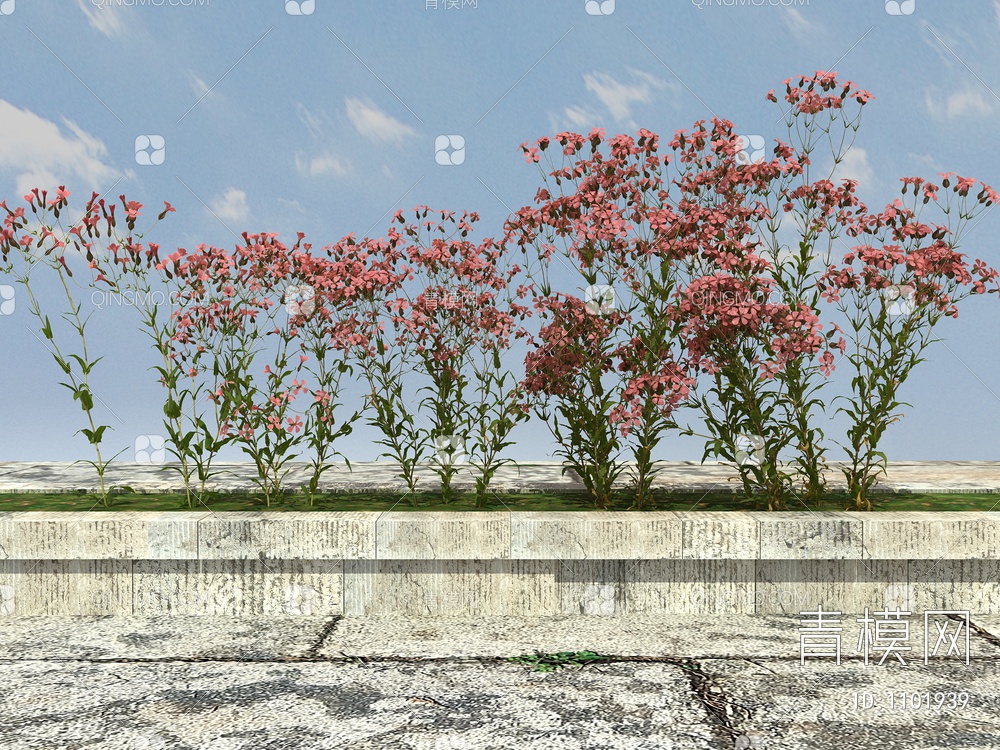 开花植物,绿化植物,景观植物,花草植物3D模型下载【ID:1101939】