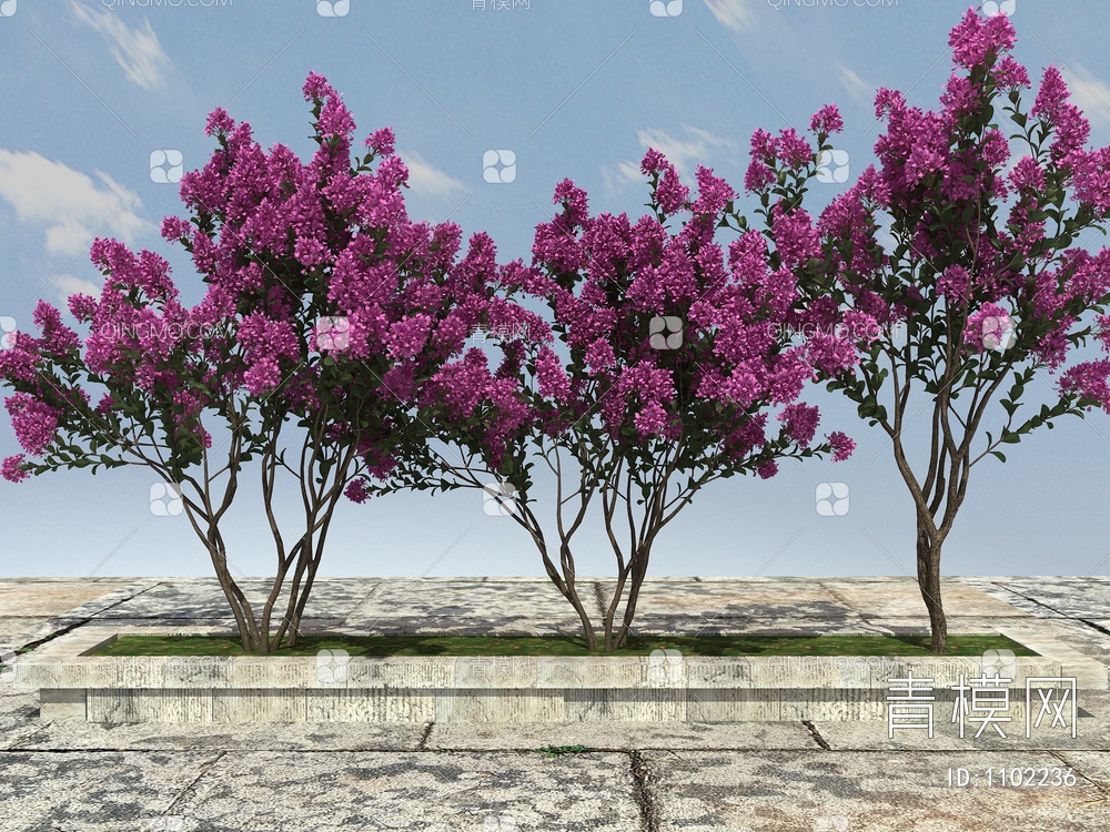 紫薇树3D模型下载【ID:1102236】