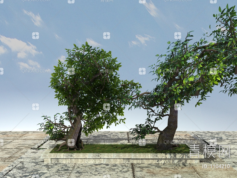 树、古树植物、大树植物3D模型下载【ID:1104210】