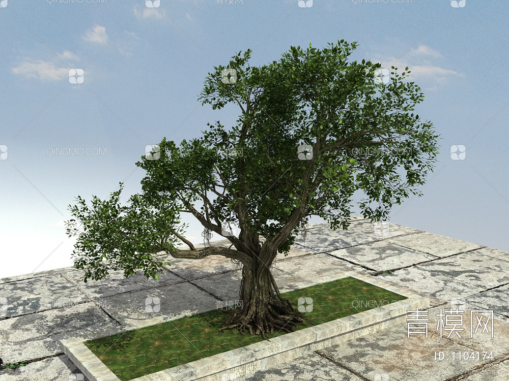 树、古树植物、大树植物3D模型下载【ID:1104174】