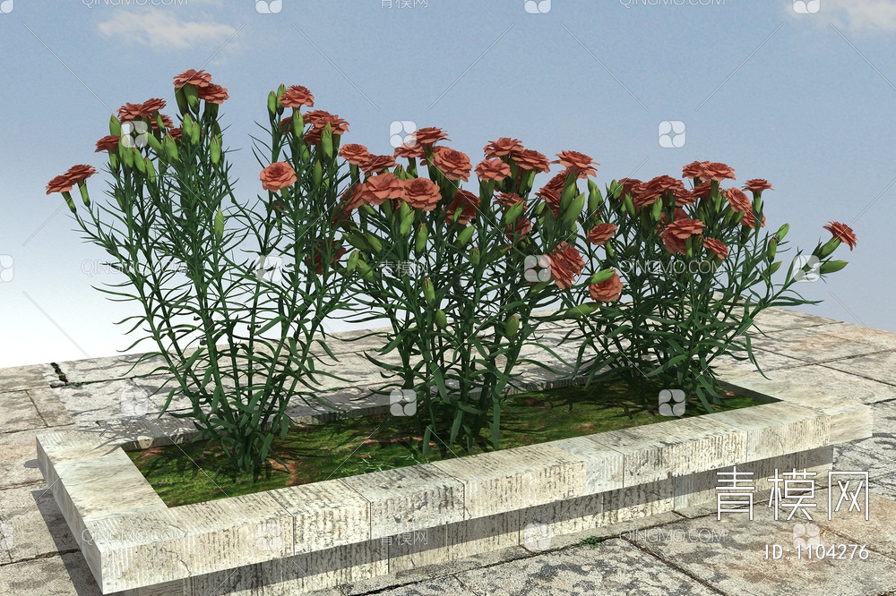 康乃馨 开花植物,绿化植物,景观植物,花草植物,3D模型下载【ID:1104276】