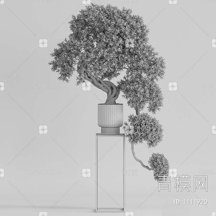 Plants 迎客松盆景3D模型下载【ID:1111920】