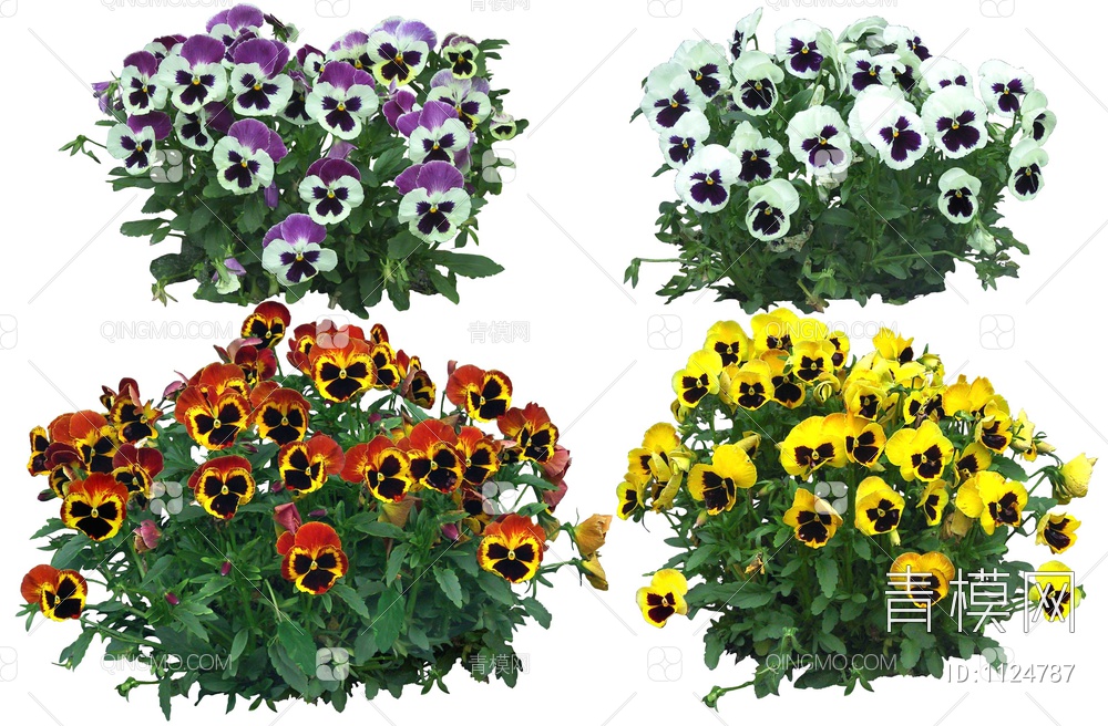 四款不同颜色花卉合集贴图下载【ID:1124787】