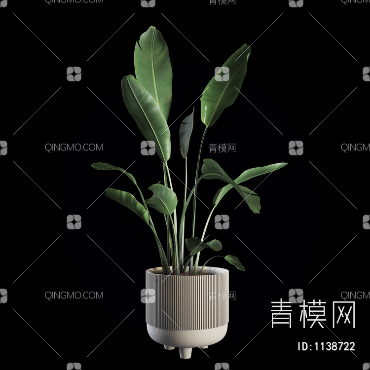 ndoor植物盆栽3D模型下载【ID:1138722】