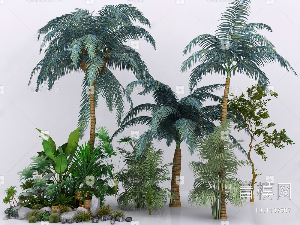 椰子树3D模型下载【ID:1137507】