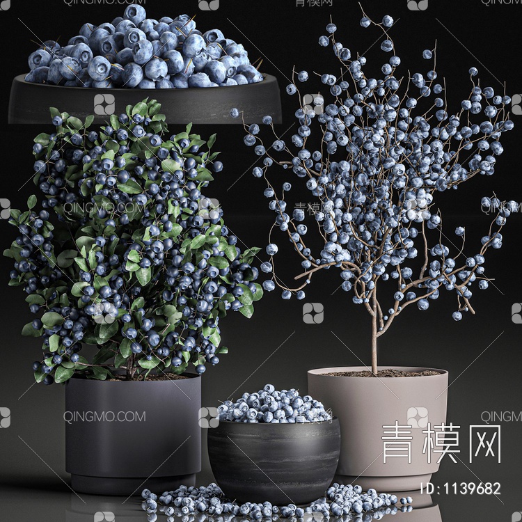 蓝莓植物盆栽3D模型下载【ID:1139682】