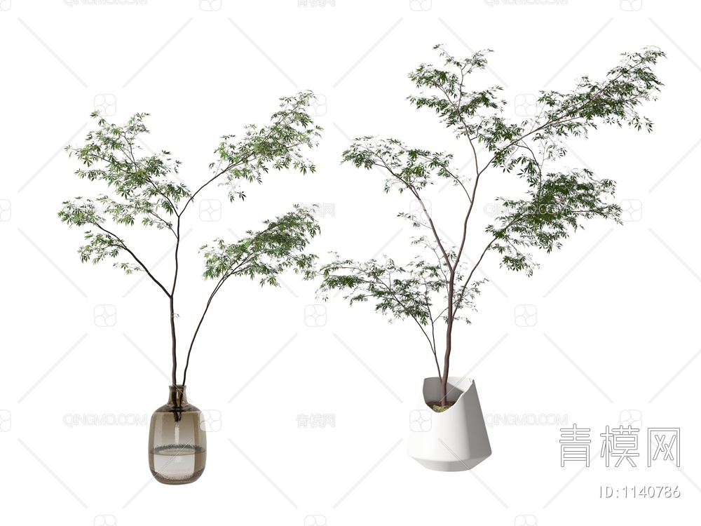 植物盆栽3D模型下载【ID:1140786】