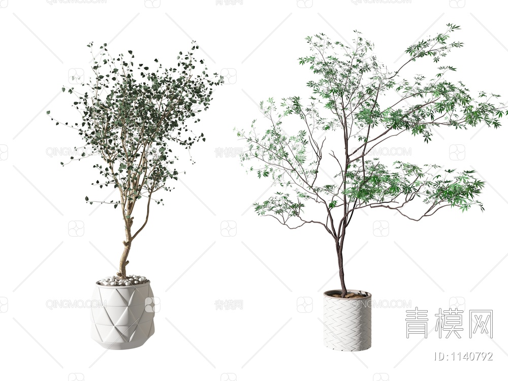 植物盆栽3D模型下载【ID:1140792】