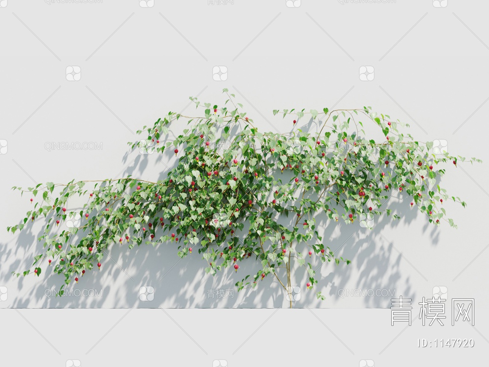 爬藤植物3D模型下载【ID:1147920】