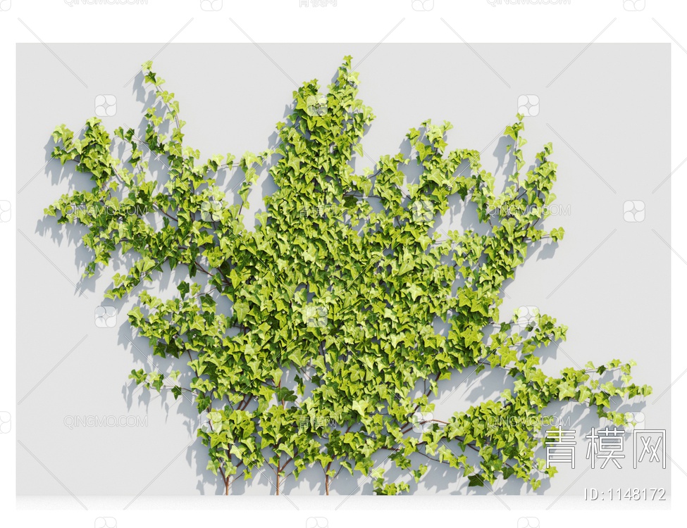 爬藤植物3D模型下载【ID:1148172】