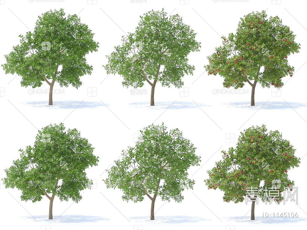 苹果树 果树3D模型下载【ID:1145106】